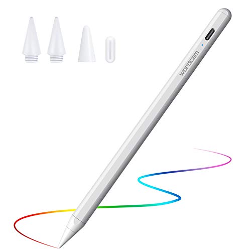 Wordcam Penna Stilo per Apple iPad (2018-2022), Pencil iPad con pal...
