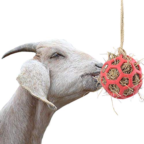 YUYUSO - Palla per mangiatoia per capra, giocattolo per mangiatoie per fieno, per appendere la testa di pecora di capra