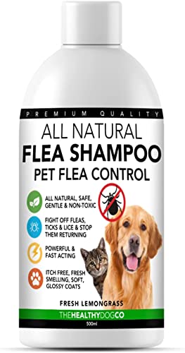 All Natural Shampoo Antipulci | Citronella | 500ml | Il Miglior Trattamento per Cani e Gatti | Formula Sicura ed Efficace | Elimina e Previeni Pulci, Zecche e Pidocchi