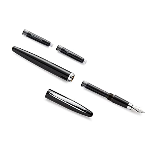 Amazon Basics - Penna stilografica ricaricabile, punta fine, fusto ...