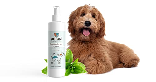 Amusi Shampoo a Secco per Cani 250ml Made in Italy , Shampoo per cani spray senza risciacquo , ipoallergenico