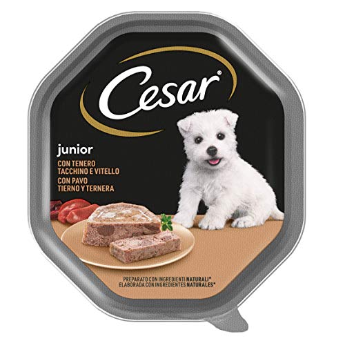 Cesar Junior Cibo per Cane Cucciolo Puppy con tenero Tacchino e Vitello 150 g - 14 vaschette