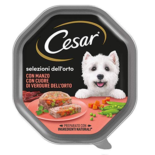 Cesar Selezioni dell orto Cibo per Cane con Manzo con cuore di verdure dell orto 150 g - 14 Vaschette