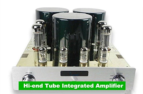 GOWE EL34 Tubo a vuoto Hi-end tubo amplificatore integrato tubo EL3...