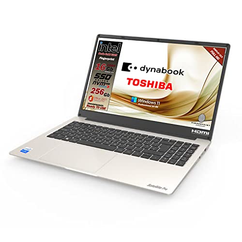 Notebook Toshiba Dynabook Satellite Pro Gold, Intel 6305, 16 Gb ram SSD pci 256 Gb, Display da 15,6 , webcam HD, lan, wi-fi 6, 3 usb, fingerprint, Win 11 Pro, Office Pro, Pronto all uso, gar. Italia
