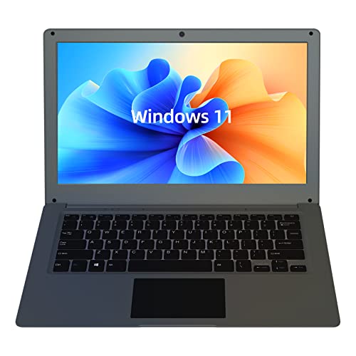PC Portatile Windows 11, Computer Notebook 13.3 pollici Intel E3950 HD Graphics 500, 6 GB RAM+128 GB SSD, laptop sottile e leggero, USB 3.0, Bluetooth, boost del segnale cellulare   MHDMI, grigio