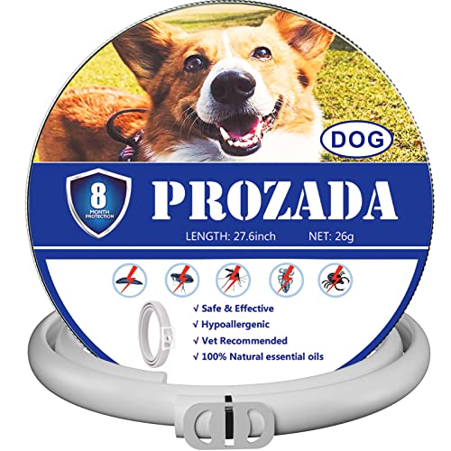 PROZADALAN Collare Antipulci Cane (8 Mesi) Prevenzione Pulci e Zecche - con Estratti di Oli Essenziali - Ipoallergenico Taglia Unica per Tutti i Cani (70cm)