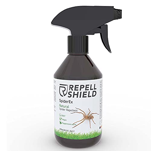 RepellShield Efficace Spray Ragni e ragnatele - Repellente Anti Rag...
