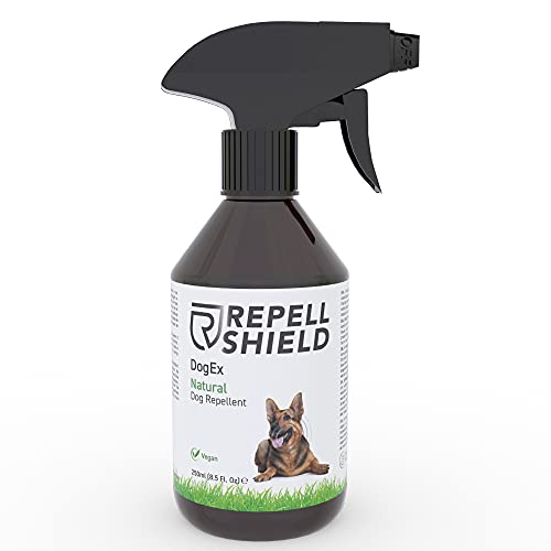 RepellShield Spray Disabituante per Cani, Anti Pipi Cane - Repellen...