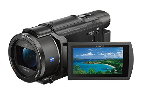 Sony - Videocamera compatta FDR-AX53 Ultra HD 4K...