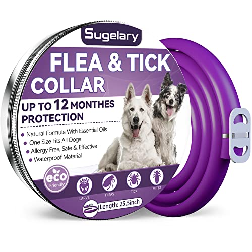Sugelary Collare Antipulci per Cani, 12 Mesi di Protezione Collare Antipulci Cane Antiparassitario Cani Regolabile Naturale Impermeabile Collare Antipulci per Tutti i Cani (1Pack)
