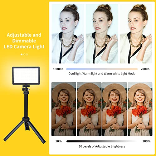 2-Pack LED Luce Video, Luce LED Fotografia USB Dimmerabile 10000K c...
