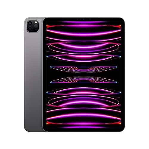 2022 Apple iPad Pro 11  (Wi-Fi, 128GB) - Grigio siderale (4ª generazione)