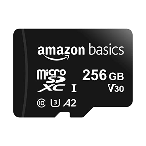 Amazon Basics Microsdxc, 256 Gb, Con Adattatore Sd, A2, U3, Velocit...