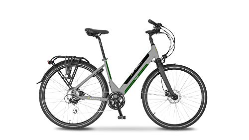 Argento Bicicletta elettrica Omega Città, Unisex Adulto, Grigio e Verde, Taglia Unica