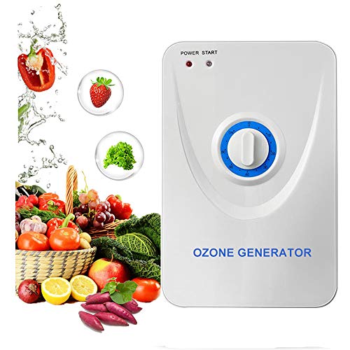 CAIYUE Generatore di ozono domestico , verdura, frutta, carne, purificatore per acqua e aria, eccellente purificatore di odori, purificatore di ozono (600 mg   ora)
