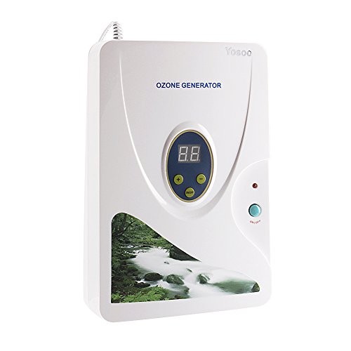 Generatore di ozono digitale, purificatore d aria (adatto per disinfettare e conservare la frutta)