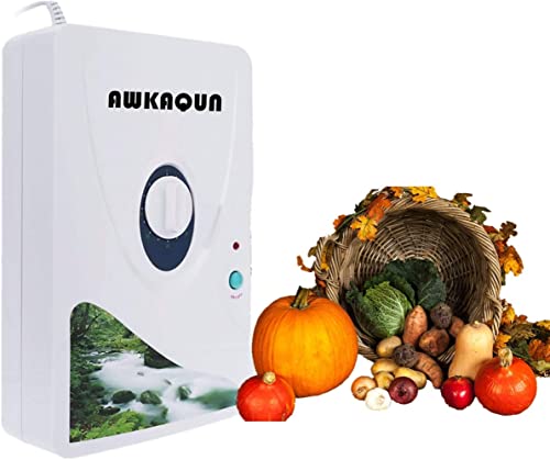Generatore di Ozono Domestic 600 mg h, Ozonizzatore Acqua Timer Digitale Portatile Macchina di Disintossicazione per frutta verdura carne Hydro acqua dolce Rad-Timer - 1-60 min (1)