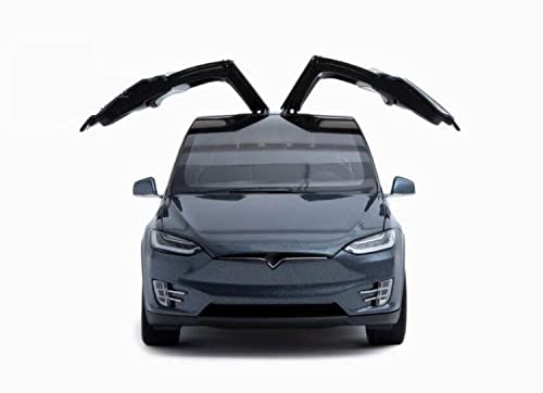 HBSM Regalo Auto Giocattolo in Lega 1 18 per Tesla Model X SUV Regalo del Modello di Automobile della Pressofusione del Veicolo Fuori Strada per Gli Amici Gifts (Color : Titanium)