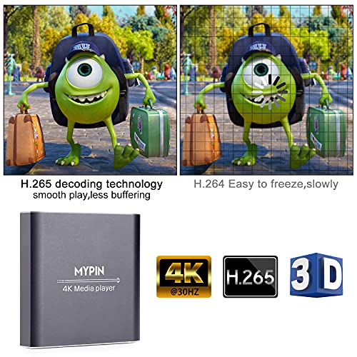 Lettore Multimediale 4K, MYPIN Media Player per HDD da 8 TB Unità ...