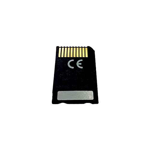 LICHIFIT - Scheda di memoria MS Pro Duo da 64 GB, 32 GB, 16 GB, 8 G...