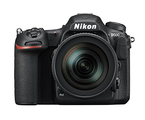 Nikon D500 16-80mm VR