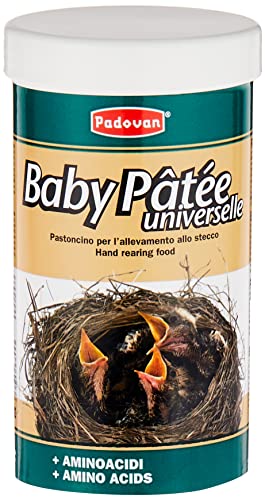 Padovan Baby Patée - Pastoncino per l allevamento allo stecco - pe...