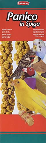 Padovan Panico in spiga - Alimento per Uccelli - Confezione da 100 ...