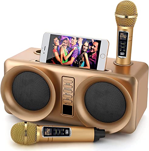 RUBEHOOW Casse karaoke con 2 microfoni wireless, sistema PA Bluetooth portatile, altoparlante con supporto per cellulare con supporto per controllo bassi alti,TF USB, AUX IN(ORO)