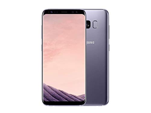 Samsung Galaxy S8 Plus, 15,8cm - 64GB, Orchid Grey (Ricondizionato)