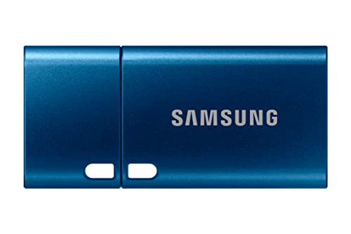 Samsung Memorie Type-C USB Flash Drive, USB 3.2, Type-C, Velocità di Lettura Fino a 400 MB s, 128 GB, Blu (MUF-128DA)