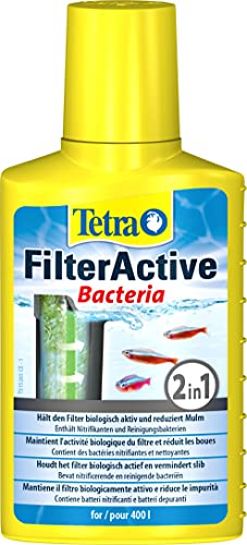 Tetra FilterActive 100 ml Contiene Batteri Vivi che Attivano il Filtro e Batteri che Riducono l Accumulo di Impurità, Mantiene il Filtro Biologicamente Attivo e Riduce le Impuritá