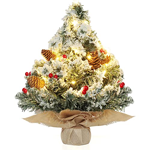Warmiehomy Albero di Natale artificiale, piccolo, 41 cm, 30 LED, albero di Natale artificiale con illuminazione e decorazione, mini come regalo per tavolo, decorazione natalizia bianca