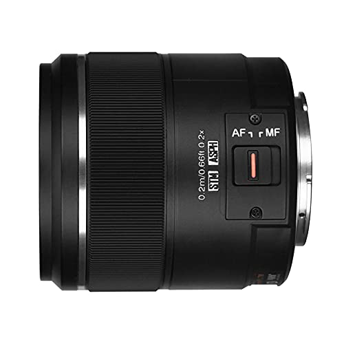 YONGNUO YN25mm F1.7M Autofocus Standard Prime Lens per Micro Quattr...